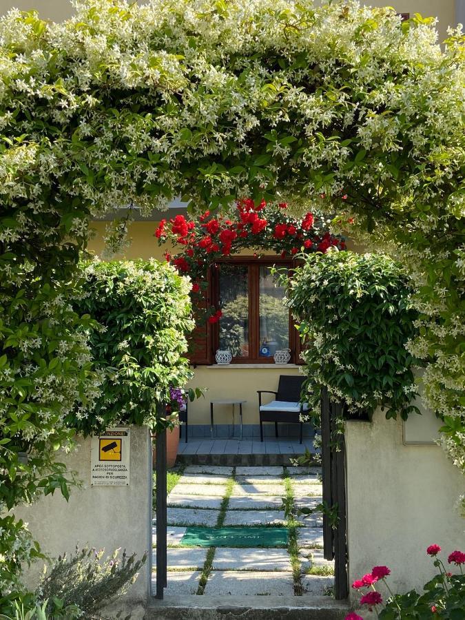 Villa Dei Cedri สกาเลอา ภายนอก รูปภาพ